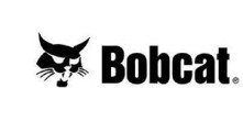 Bobcat